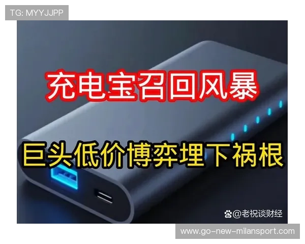 罗马仕、安克、小米为问题充电宝买单:召回超百万件,小米的充电宝和罗马仕得哪个好 罗马仕、安克、小米为问题充电宝买单:召回超百万件,小米的充电宝和罗马仕得哪个好